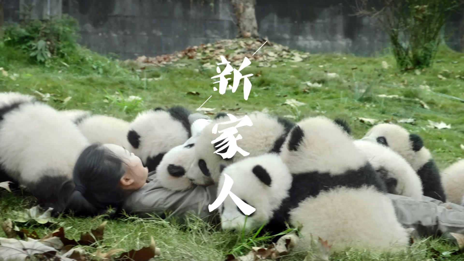 &#22810;&#23453;&#22312;&#32447;&#45;&#22810;&#23453;&#22312;&#32447;&#65288;&#20013;&#22269;&#65289;